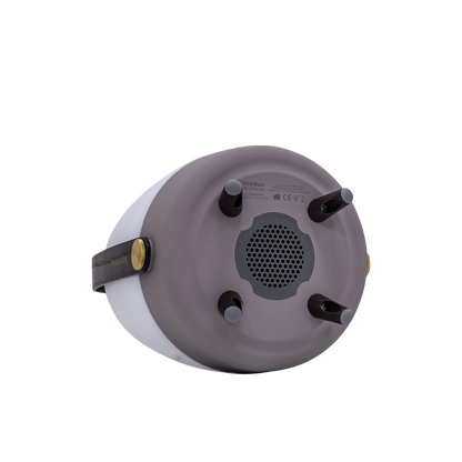 Lite-up PLAY Mini · Earth