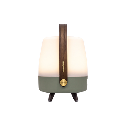 Lite-up PLAY Mini · Petroleum
