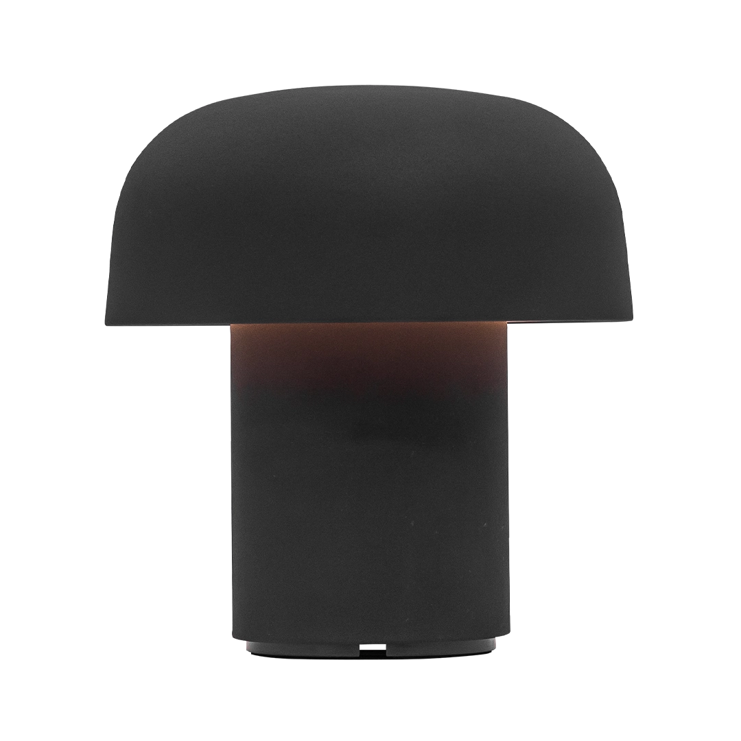 Sensa · Anthracite